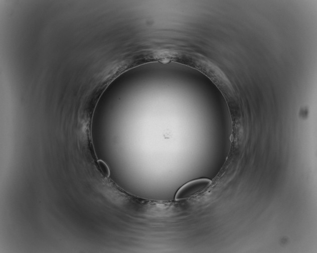 X0000100200329200805301315