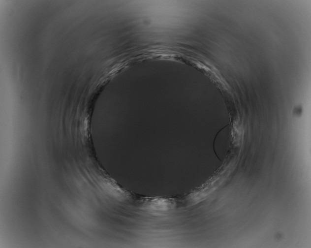 X0000100200330200805301315