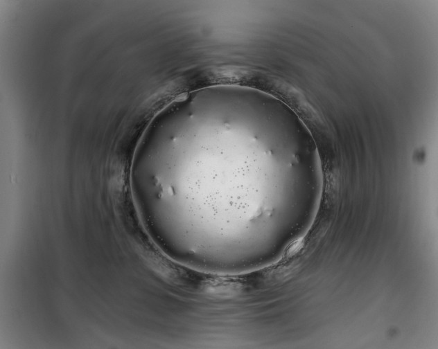 X0000100200331200805301315