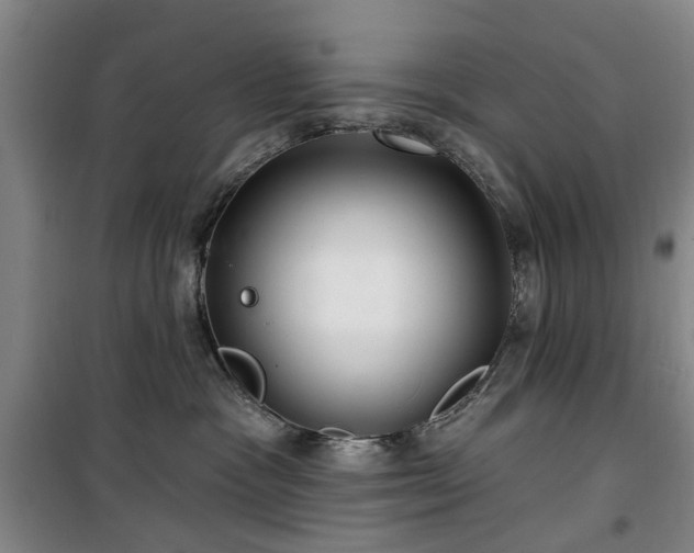 X0000100200333200805301315