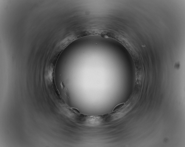 X0000100200334200805301315