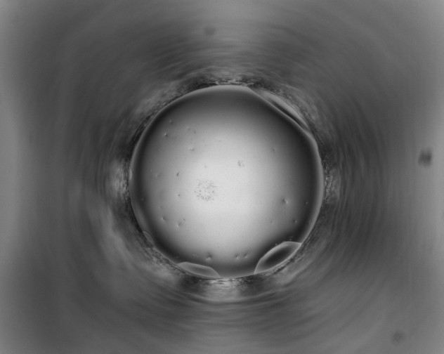 X0000100200335200805301315