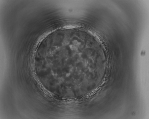 X0000100200337200805301315