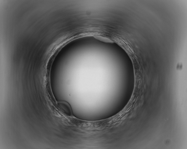 X0000100200338200805301315