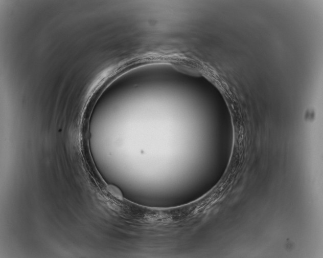 X0000100200340200805301315