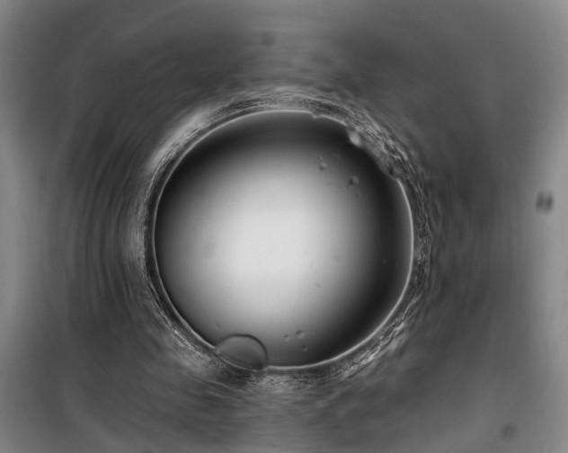 X0000100200341200805301315