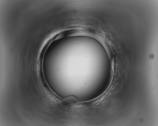 X0000100200342200805301315