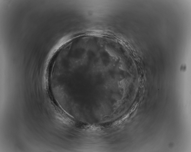 X0000100200343200805301315