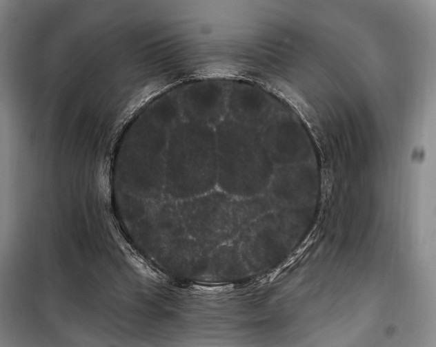 X0000100200345200805301315