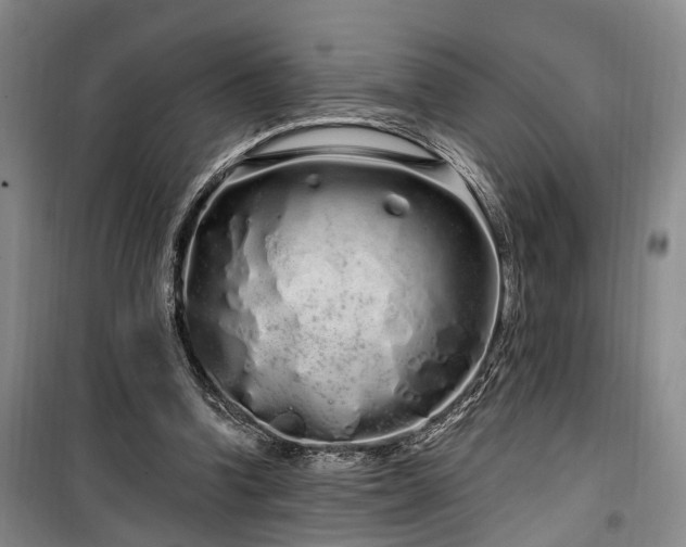 X0000100200346200805301315