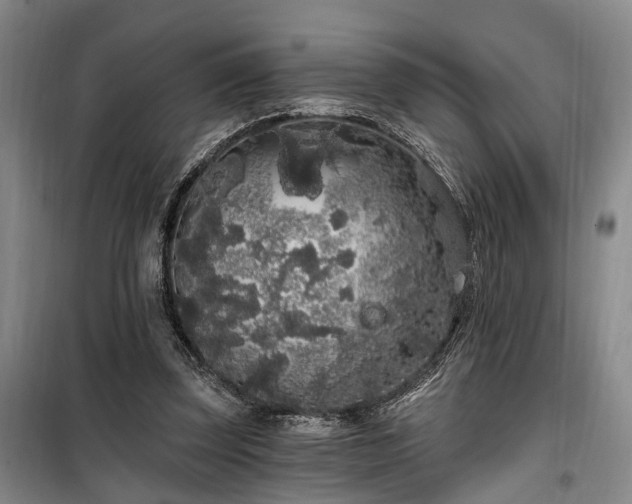 X0000100200347200805301315