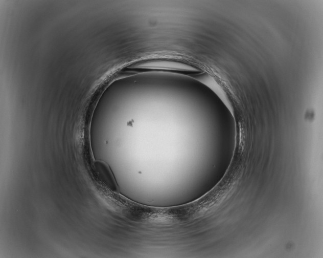 X0000100200348200805301315