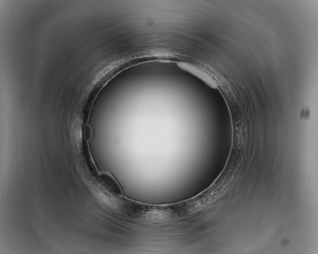 X0000100200350200805301315