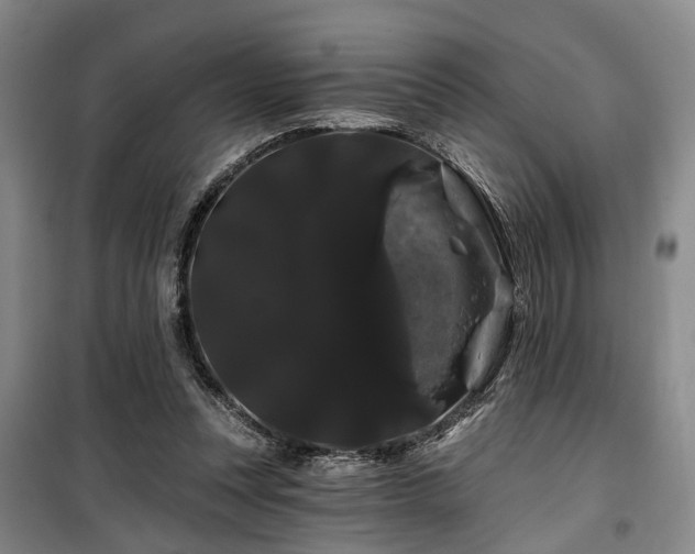 X0000100200351200805301315