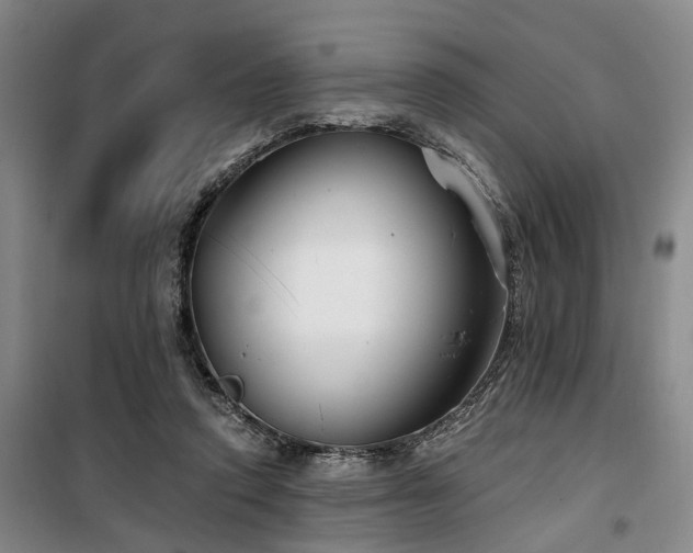 X0000100200354200805301315