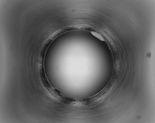 X0000100200356200805301315