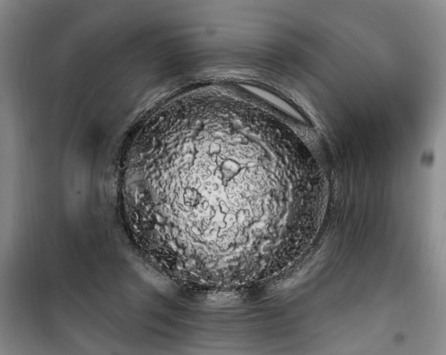 X0000100200357200805301315