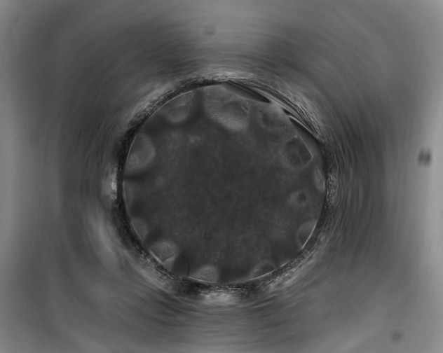 X0000100200358200805301315