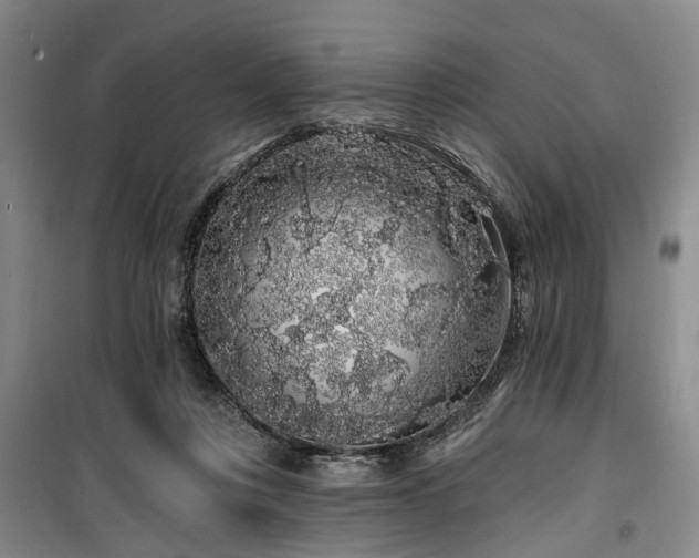 X0000100200359200805301315