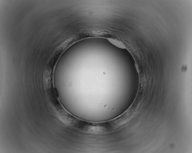 X0000100200360200805301315