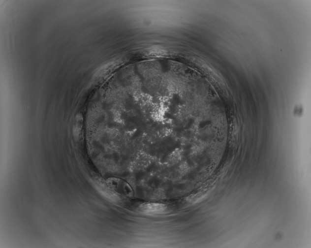 X0000100200361200805301315