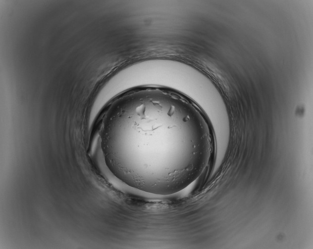 X0000100200362200805301315