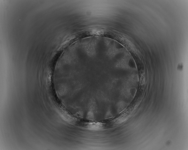 X0000100200363200805301315