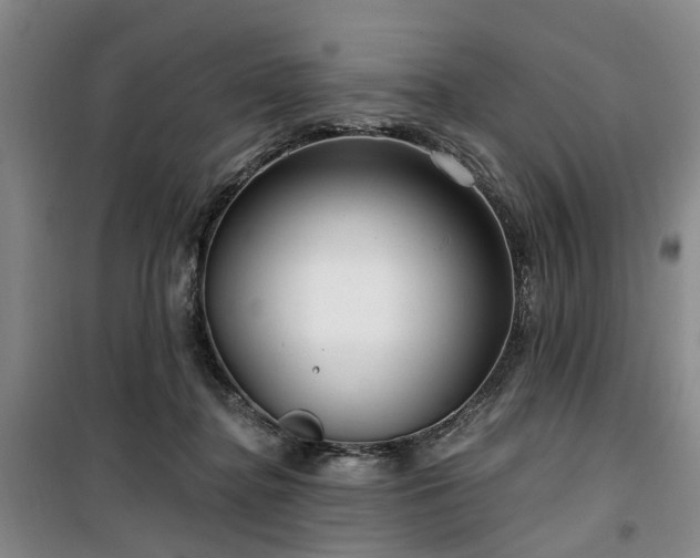 X0000100200364200805301315