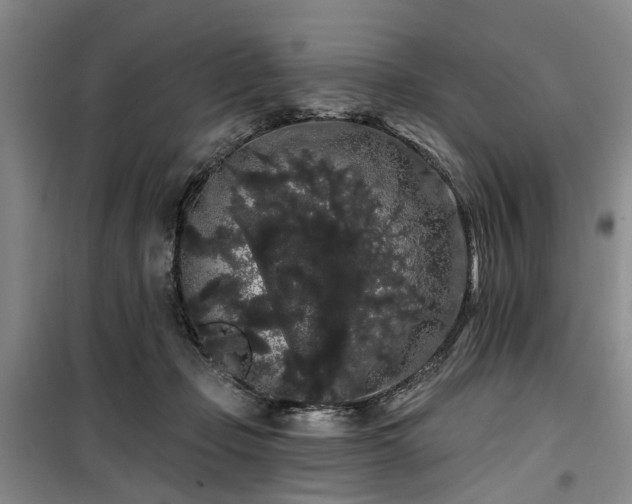 X0000100200365200805301315