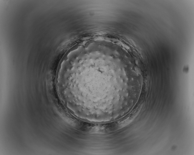 X0000100200366200805301315