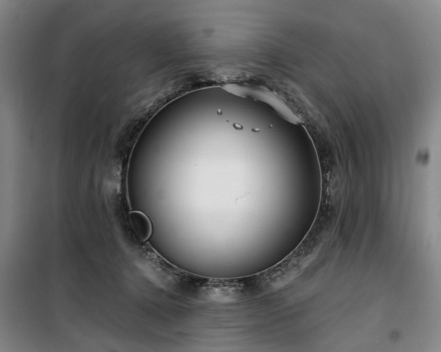 X0000100200368200805301315