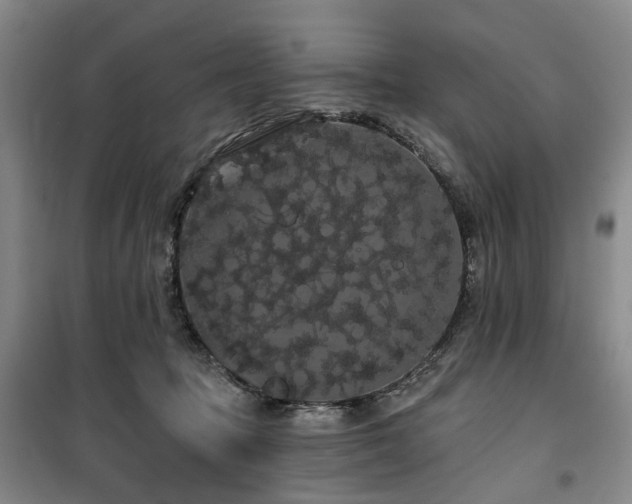 X0000100200369200805301315