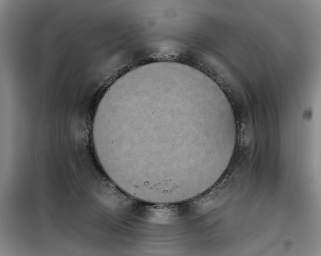 X0000100200370200805301315