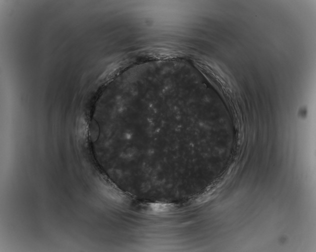 X0000100200371200805301315