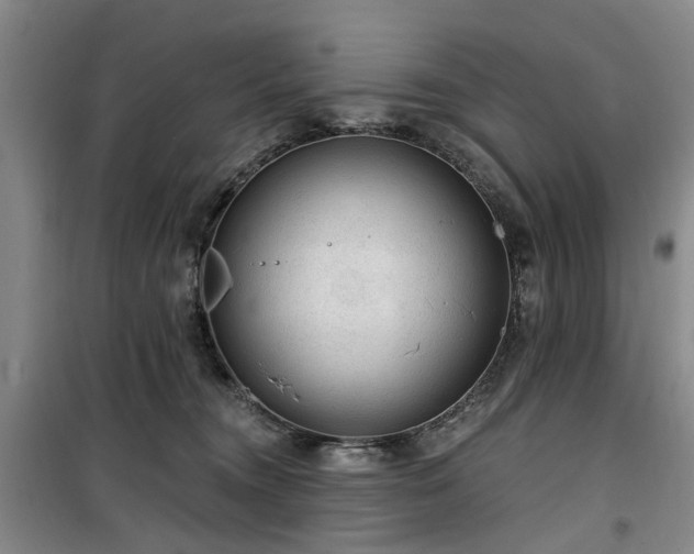 X0000100200372200805301315