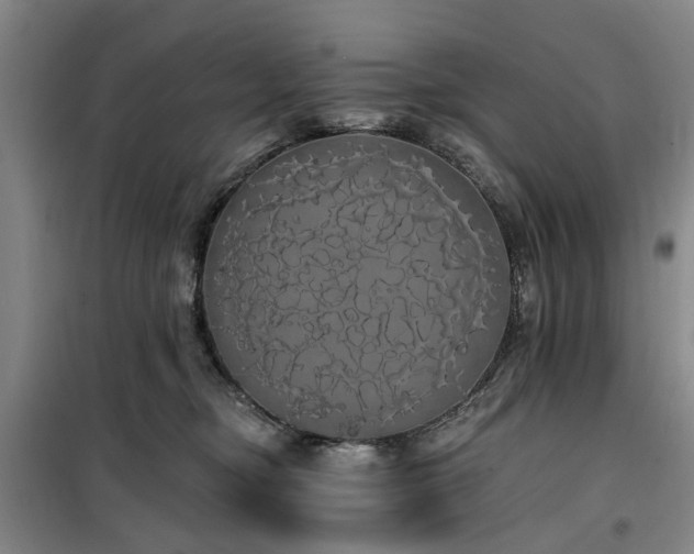 X0000100200374200805301315