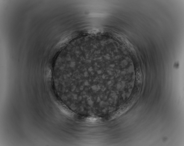 X0000100200375200805301315