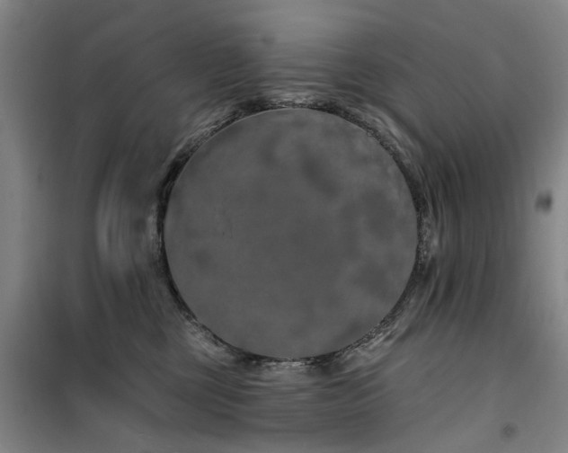 X0000100200377200805301315