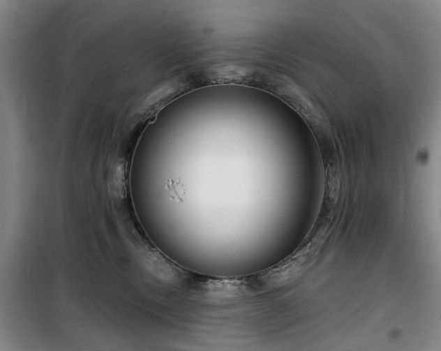 X0000100200378200805301315