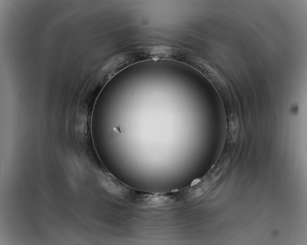 X0000100200379200805301315