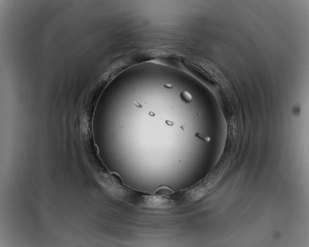 X0000100200380200805301315