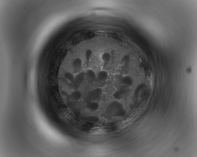 X0000100200381200805301315