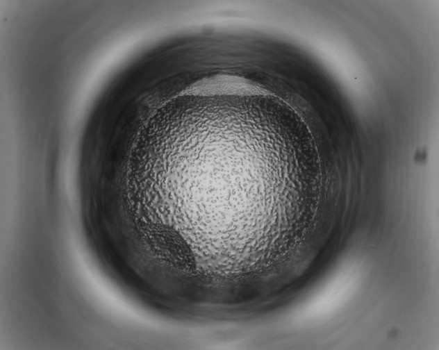 X0000100200383200805301315