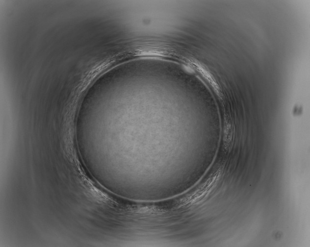 X0000100200385200805301315