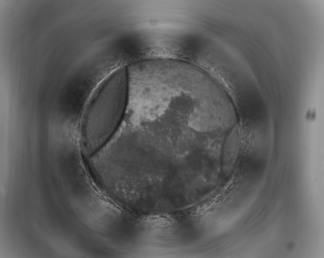 X0000100200386200805301315