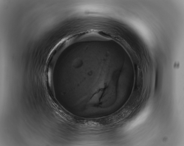 X0000100200387200805301315