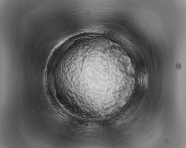 X0000100200388200805301315