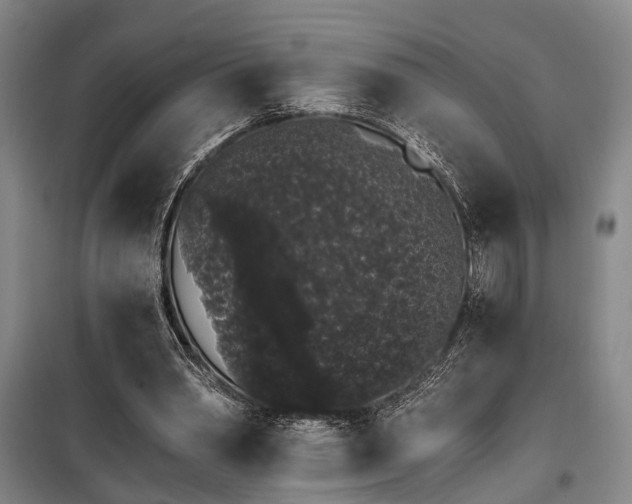 X0000100200390200805301315