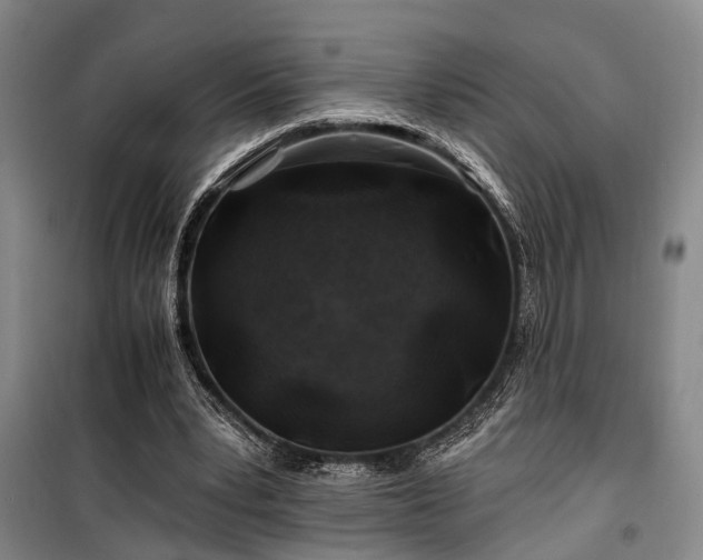 X0000100200391200805301315