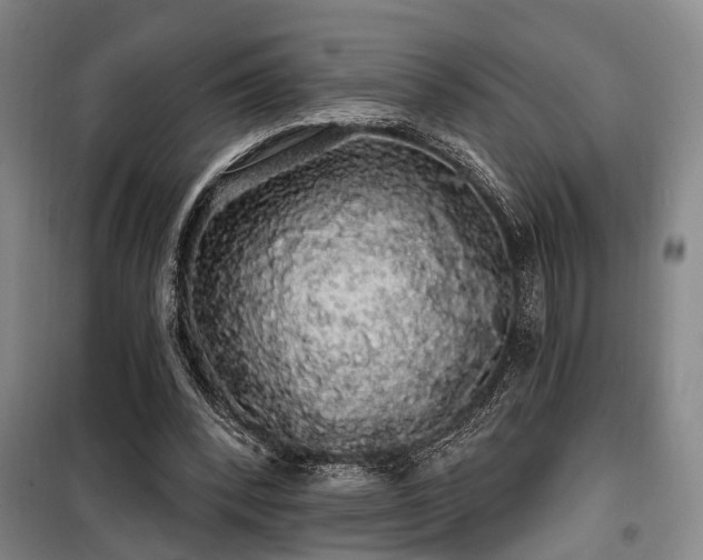 X0000100200392200805301315